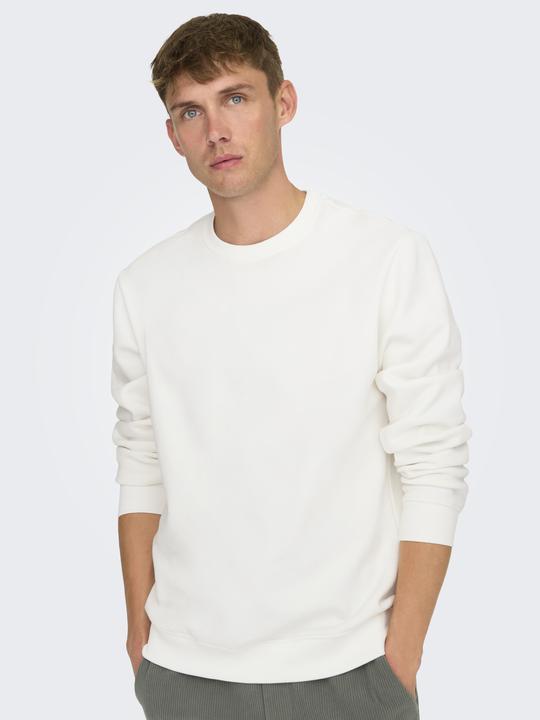 Image du produit Only & Sons Onsconnor Reg Crew Neck Sweat Noos (XS)