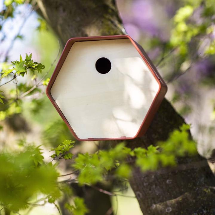 Actual product image Capi Vogelhäuschen Hive 1 Rundes Loch