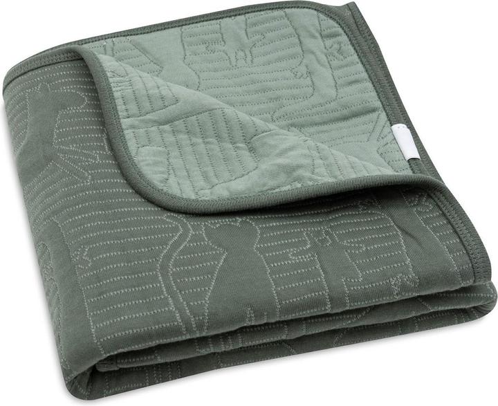 Jollein Decke Jersey (100 x 150 cm)