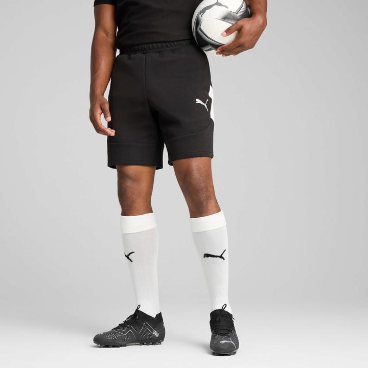 Actual product image Puma teamEVOSTRIPE Shorts (L)