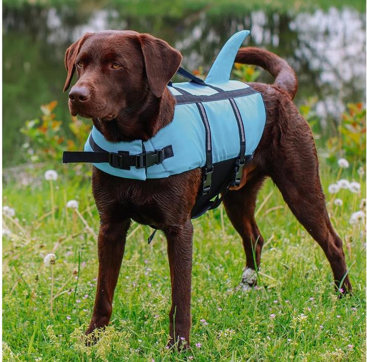 Image du produit Nobby Sharki (XS, Gilet pour chien)