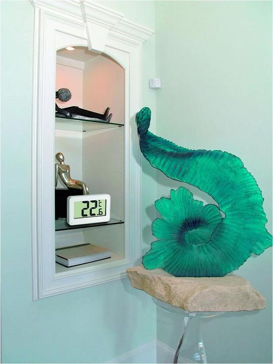 Actual product image TFA 30.2028.02