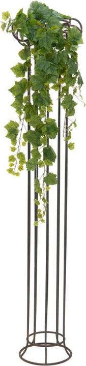 Productafbeelding Europalms Premium wijnstruik (100 cm)