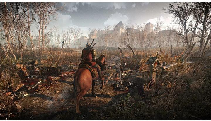 Produktbild Bandai Namco The Witcher 3: Wild Hunt (Switch, DE)