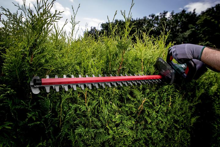 Produktbild Metabo HS 18 LTX 55 solo (Akkuheckenschere)