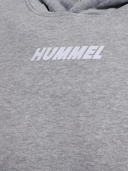 Immagine prodotto hummel hmlELEMENTAL HOODIE (L)