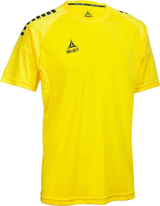 Yellow-black