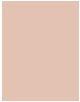 Actual product image L'Oréal Paris Infaillible More Than (325 Bisque)