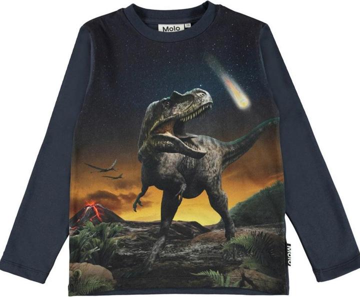 Molo Langarmshirt Reif Dino