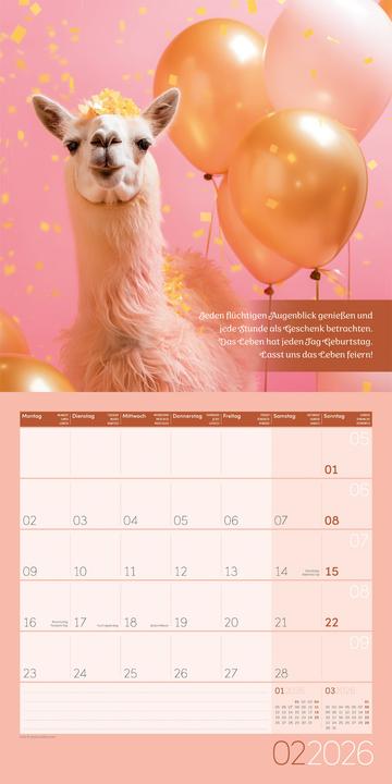 Actual product image Alles wird gut! Kalender 2026 - 30x30 (30 x 30 cm, Hardcover, French, English)