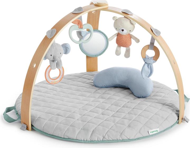 Ingenuity Spieldecke mit Spielbogen
