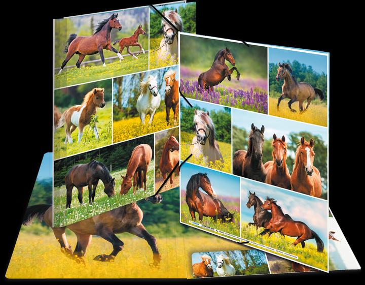 Image du produit HERMA Porte-documents A4 Motif (A4, 1 x)