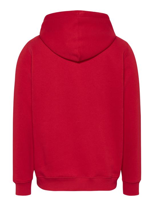 Produktbild Tommy Jeans Tjm Reg Linear Logo Hoodie Ext (L)