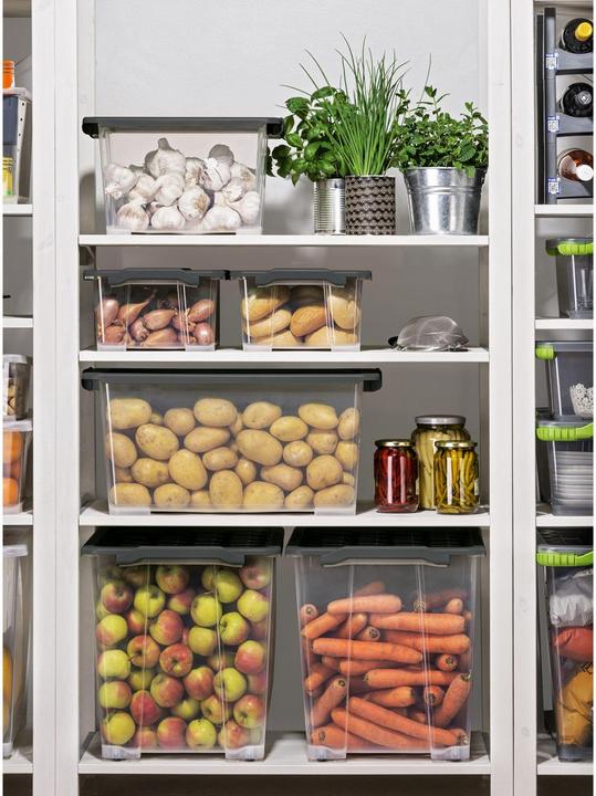 Image du produit Rotho Evo Easy (39.5 x 16 x 28.5 cm, 11 l)