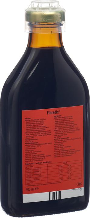 Produktbild Floradix Eisen (1 Stück, Flüssigkeit, 600 g)