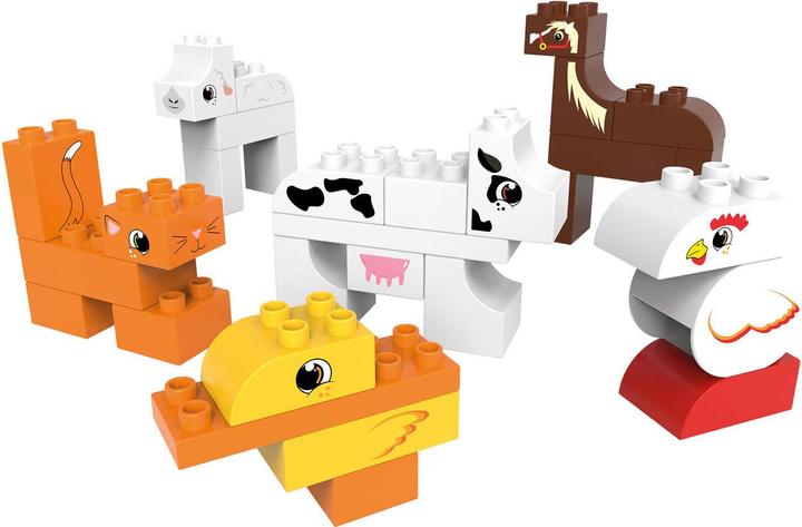 Produktbild Biobuddi Education Pets