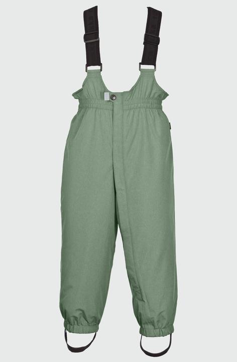 Hedge Green