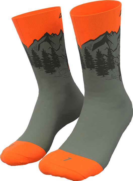 Dynafit Stay Fast Socken Unisex