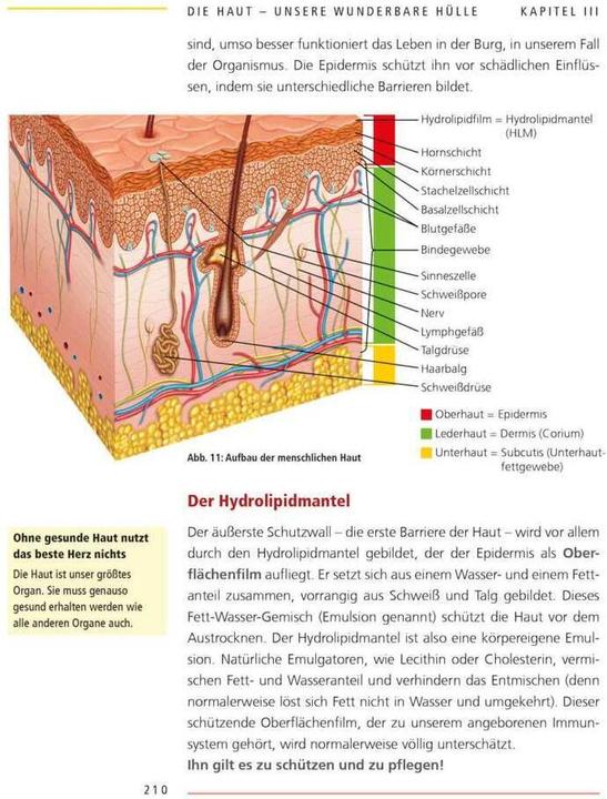 Produktbild Pflanzenöle - Qualität, Anwendung und Wirkung (Deutsch, Ruth von Braunschweig, 2023)