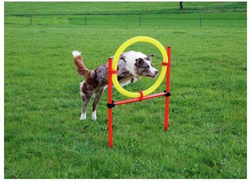 Produktbild Kerbl Komplett-Set (One Size, Agility)