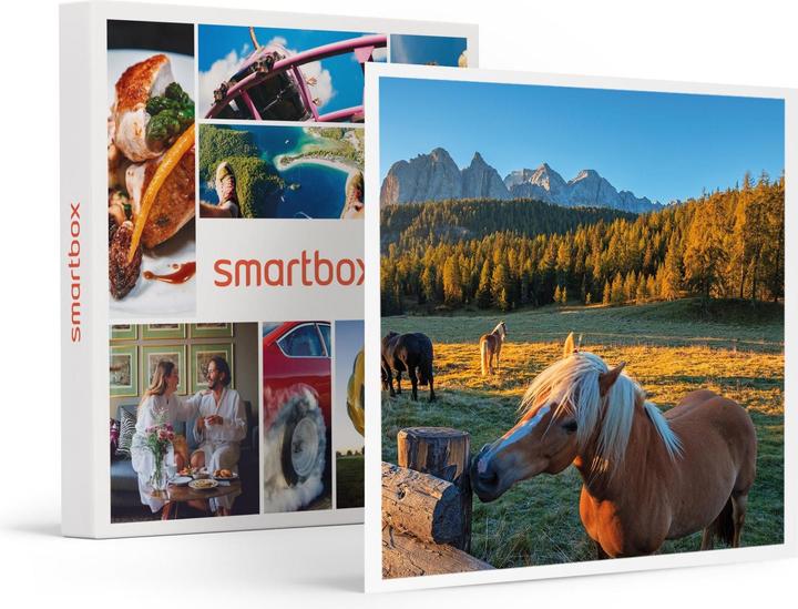 Actual product image Smartbox Nature holiday: 2 nights with breakfast and riding excursion (2 pers.)