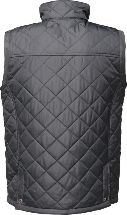 Actual product image Regatta Tyler Bodywarmer (XXL)