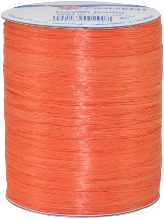 Image du produit Pattberg Ruban de raphia Rayon (Ruban, 1 x)