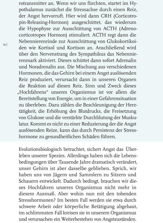 Actual product image Willkommen Angst (German, Constanze Dennig, 2023)