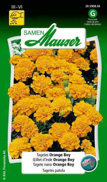 Actual product image Samen Mauser Tagets Orange Boy (Plant seeds)