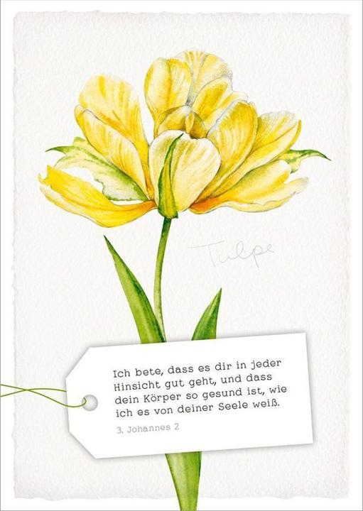 Actual product image GartenGlück - Postcard set (18 pcs.)
