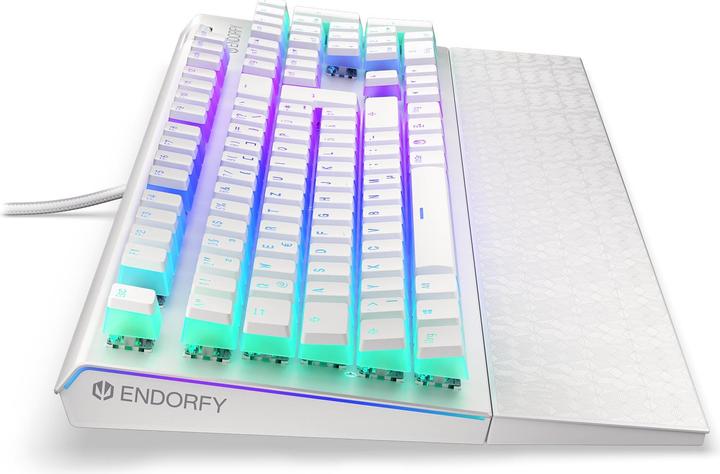 Actual product image Endorfy Keyboard Omnis (DE, Cable)