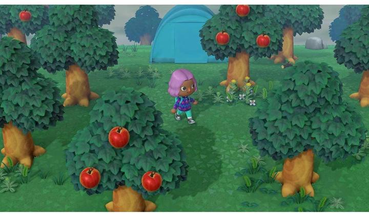 Immagine prodotto Nintendo Animal Crossing: New Horizons (Switch, Multilingue)