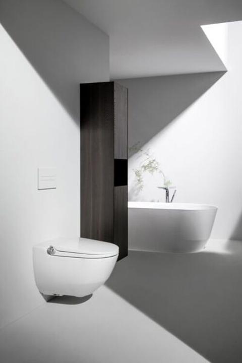 Actual product image Laufen Cleanet Riva