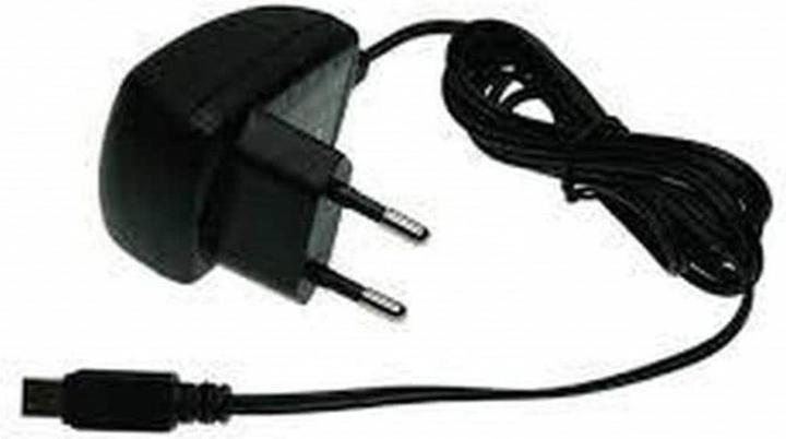Actual product image TI Charger TI-NSP-2LG
