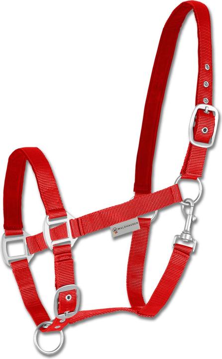 Waldhausen Shetland Satin Halfter