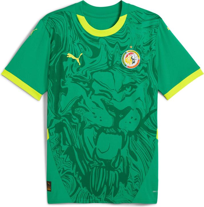 Actual product image Puma away jersey sénégal 2024 (M)