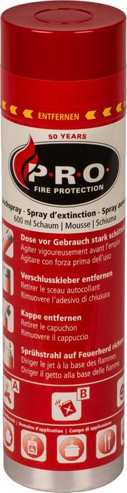K.A.B. Schiuma spray estinguente (A, B, F)