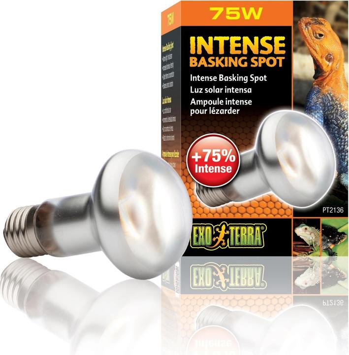 Actual product image Exo Terra Sun Glo Heat Spot Lamp TB 75W (UVA)