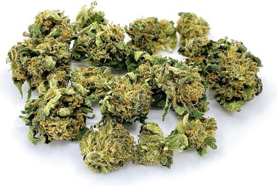 Produktbild Wild Wild Weed Zkittlez Cookie - Billy The Weed (10 g, Indoor)