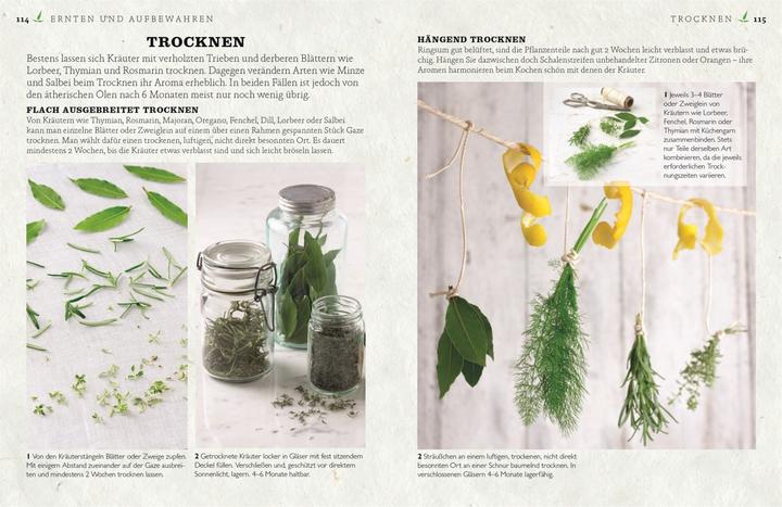 Produktbild Küchenkräuter anbauen und geniessen (Deutsch, Jeff Cox, Marie-Pierre Moine, Susanne Vogel, 2020)