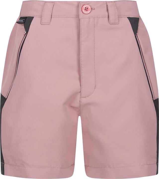 Regatta Sorcer Mountain III Shorts (164)
