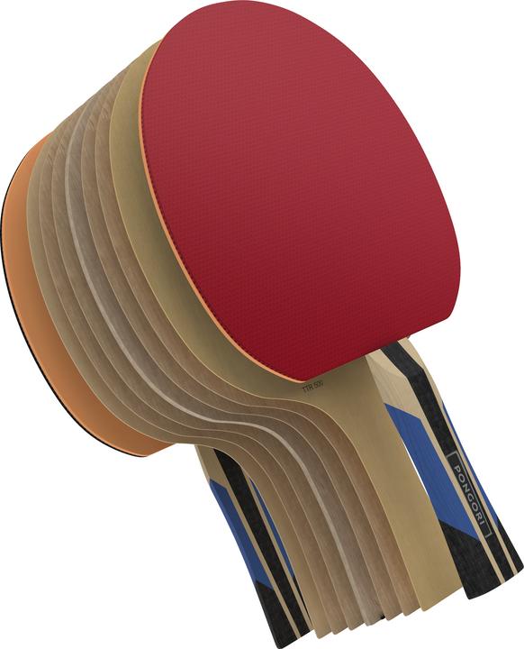 Image du produit Pongori TTR 500 5*