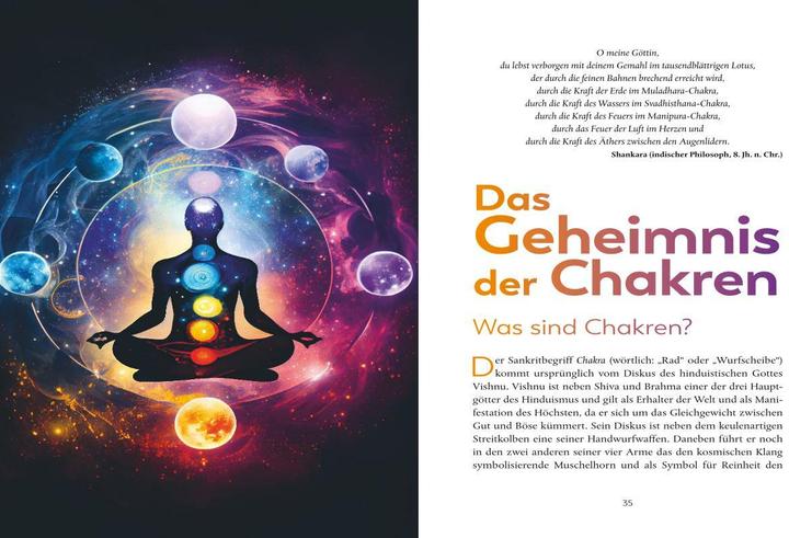 Produktbild Meine Energiewende (Deutsch, Gaby Köster, 2024)
