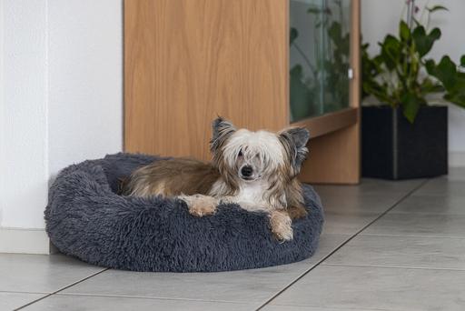 Produktbild Karlie Agnes (Hund)