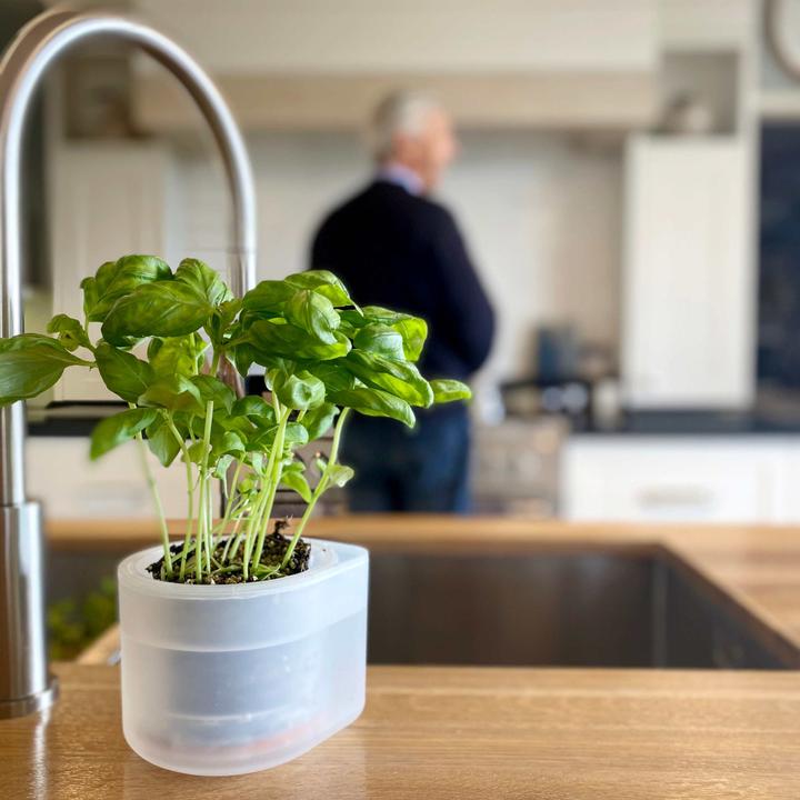 Produktbild boskke Till Planter, Transparenter Planzentopf mit Selbstbewässerung