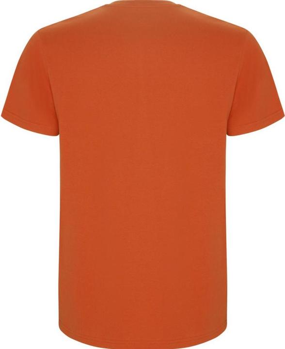 Immagine prodotto Alpinia Stafford Maglietta Uomo (3XL)