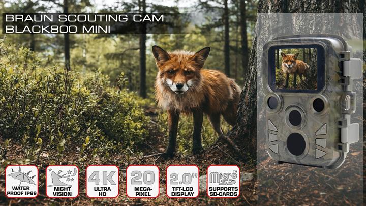 Actual product image Braun Photo Scouting Cam Black800 mini