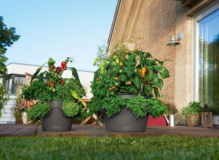 Produktbild Lechuza Cascadino (30 cm)