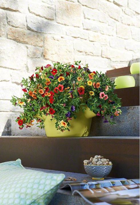 Produktbild Lechuza Cascadino (30 cm)