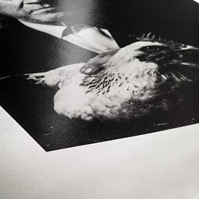 Immagine prodotto Hahnemühle Carta fotografica Baryta A 4 315 g, 25 fogli, seta opaca (315 g/m², A4, 25 x)
